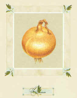 onion-alex_bloch-yes.jpg (6565 bytes)
